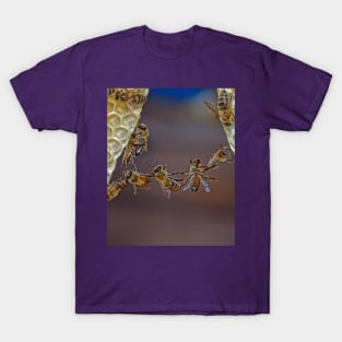 Bee acrobatics T-Shirt